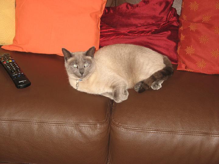 2010-01 0003.JPG